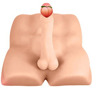 Blush X5 Rough Rider, sexy men's torso with penis